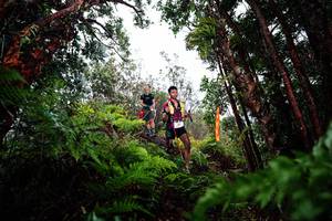 BIB: 
                            <button type="button" onclick="openModal(26204032)" class="btn btn-primary btn-sm float-right btn-popup" data-toggle="modal" data-target=".modal-high-quality">
                        <i class="fas fa-shopping-cart"></i> Add to Cart
                    </button>
                                            <button type="button" onclick="isThisMe(26204032, true)" class="btn btn-success btn-sm float-right btn-popup btn-isme hidden" data-toggle="tooltip" data-placement="bottom" title="นี่คือรูปของคุณใช่ไหม คลิกที่นี่เพื่อเอาเข้าอัลบั้ม">
                        <i class="fas fa-plus"></i> Add to album
                    </button>
                    <button type="button" onclick="isThisMe(26204032, false)" class="btn btn-warning btn-sm float-right btn-popup btn-isnotme hidden">
                        <i class="fas fa-ban"></i> Remove from album
                    </button>